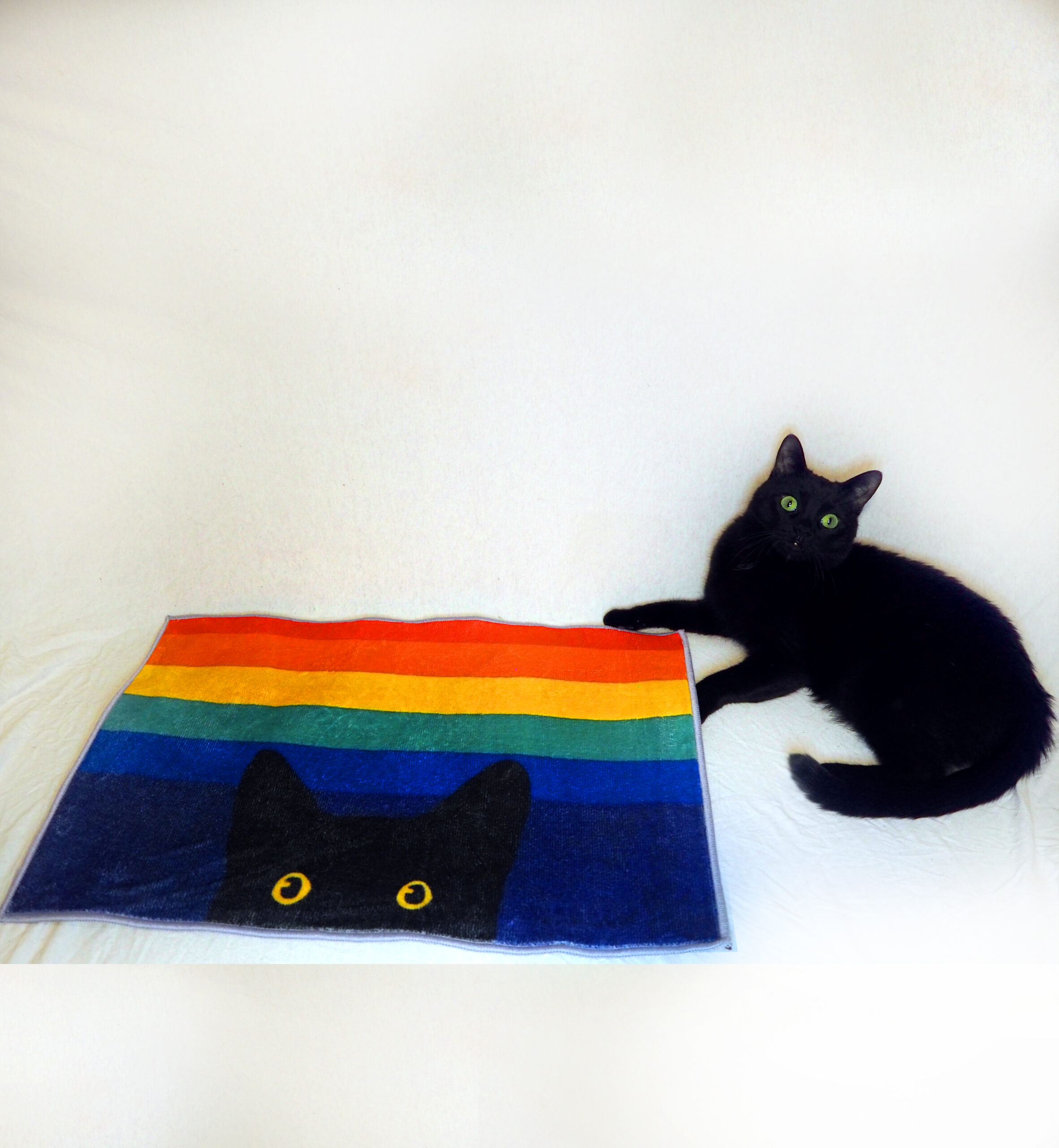 Gulvmatte: Bat, The Cat